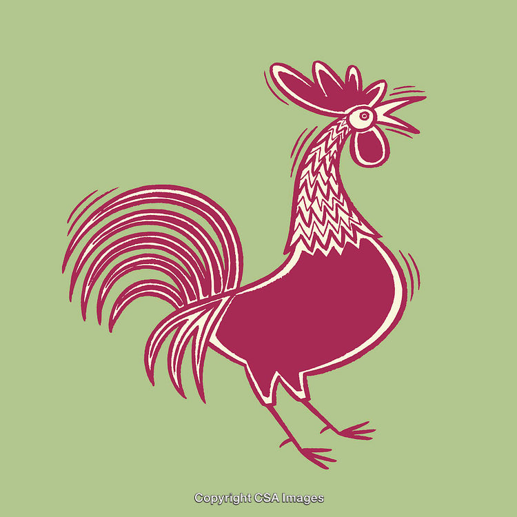 Colorful Line Art Illustration of a Rooster on a Green Background