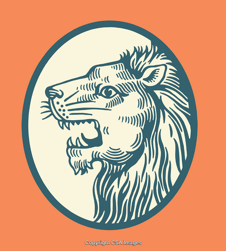 Colorful Line Art Depiction of a Lion's Head in Bold Design Style