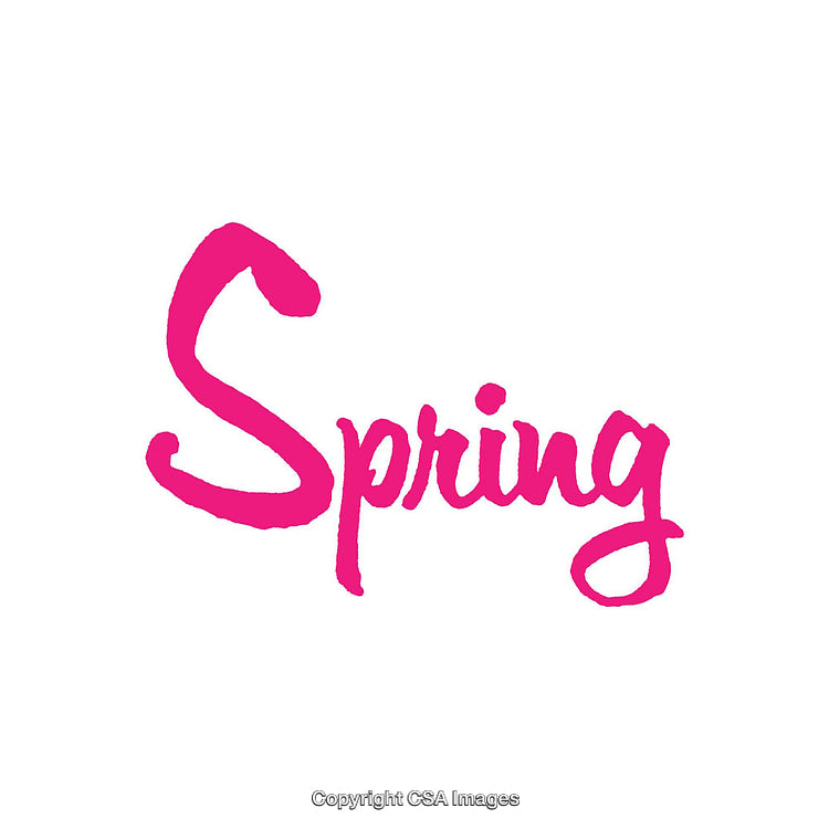 Bright Pink Handwritten Spring Text Illustration with White Background