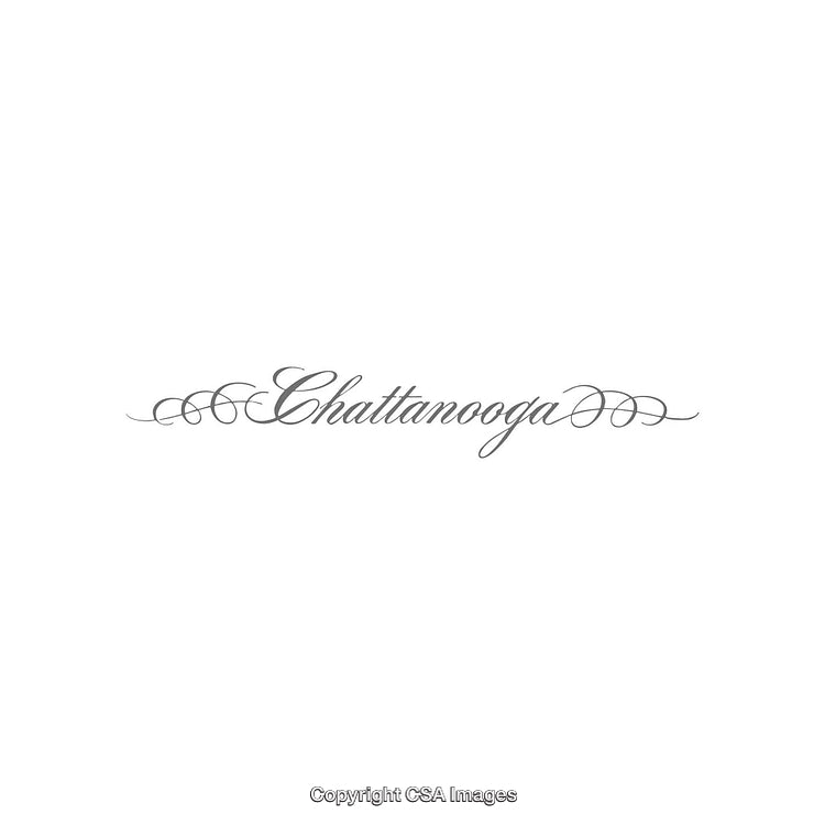 Elegant Calligraphy Design Featuring the Word Chattanooga with Decorative Flourishes