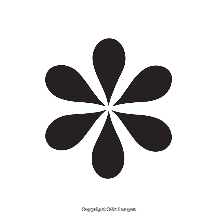 Minimalist Black and White Geometric Floral Design Illustration
