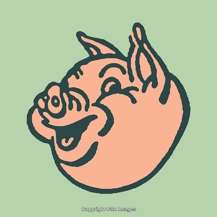 Cartoon Pig Illustration on Green Background in Vibrant Line Art Style