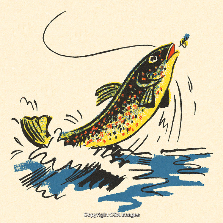 Vintage Illustration of Trout Leaping Out of Water Chasing a Fly Lure Art