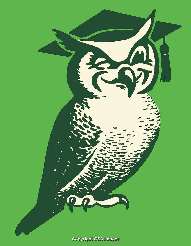Winking Owl in Graduation Cap Colorful Line Art Illustration