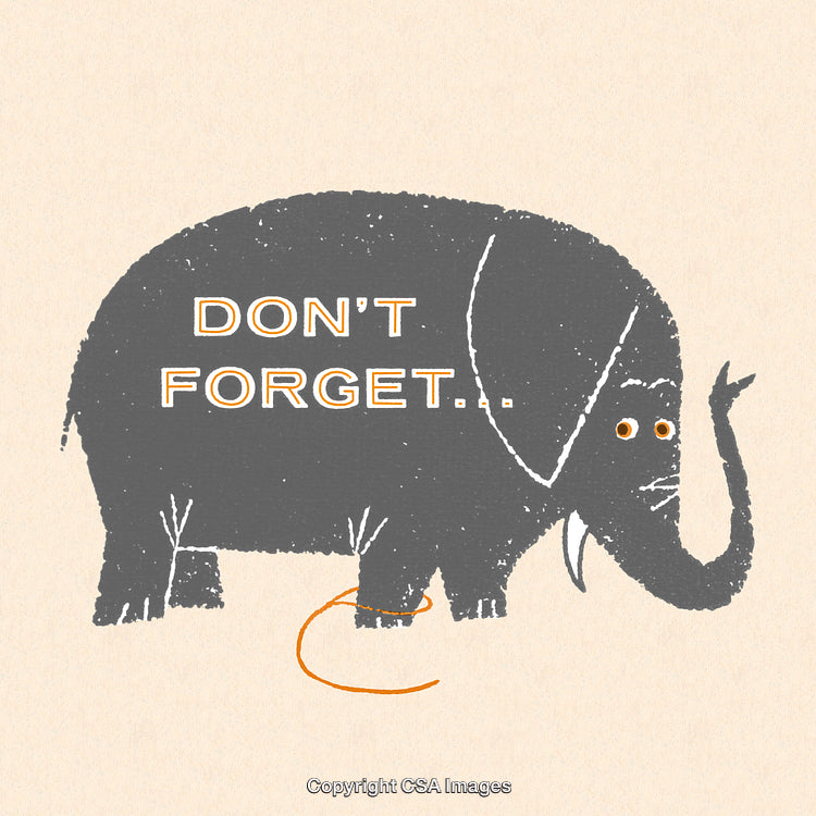 Gray Elephant Illustration With 'Don't Forget' Text and Orange Tail Accent