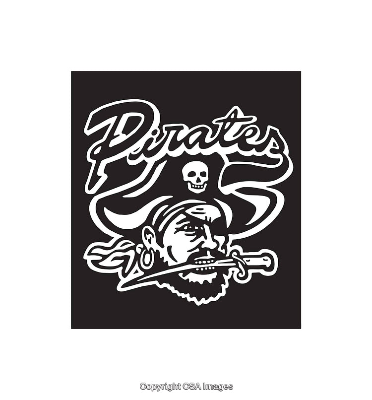 Black and White Pirate Logo Featuring Skull and Cutlass Design