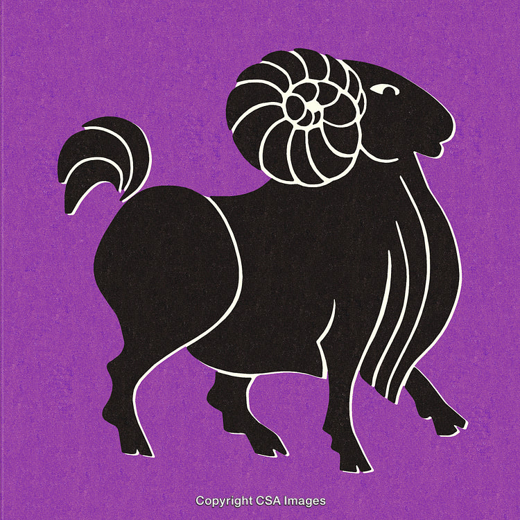 Bold Ram Illustration with Vibrant Purple Background and Intricate Details