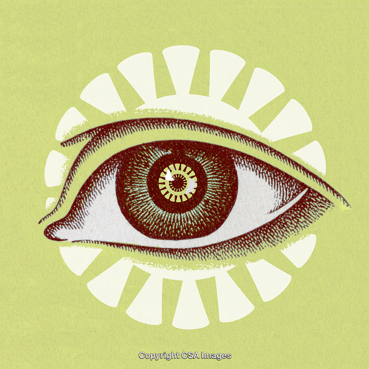 Vintage Illustration of a Detailed Eye with Geometric Elements
