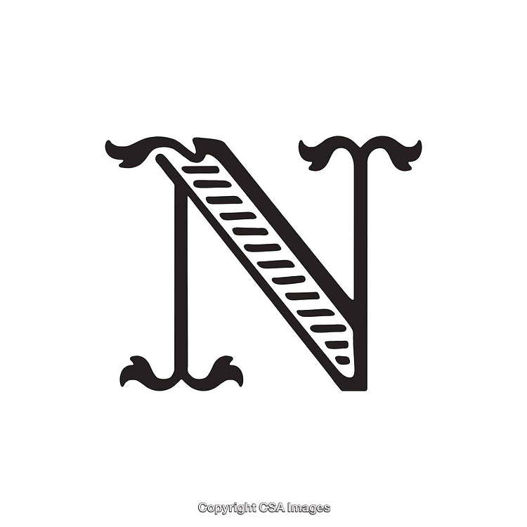 Ornate Letter 'N' Design with Decorative and Artistic Elements