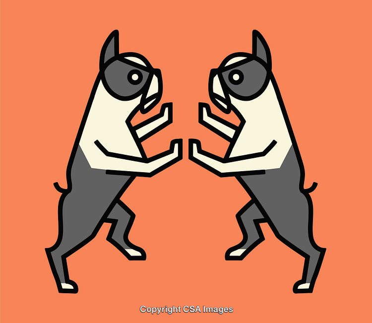 Two Mirrored Cartoon Dogs Facing Each Other on Orange Background