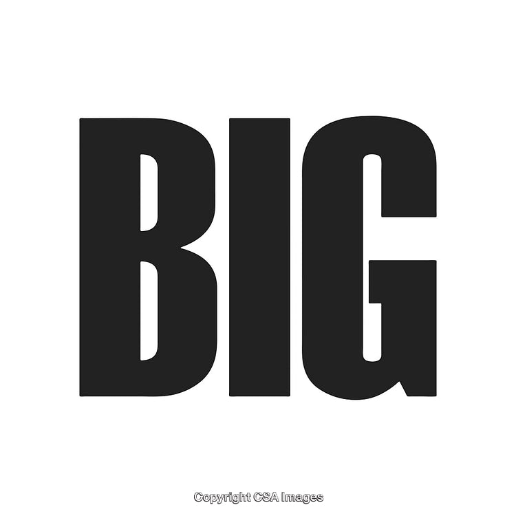 Large Bold Black Text Depicting the Word 'BIG' on White Background