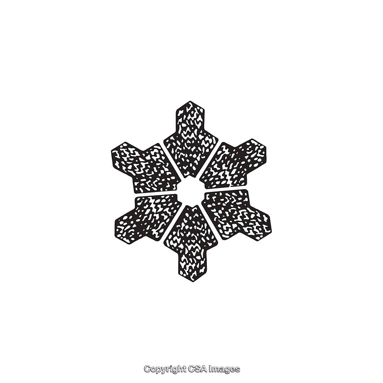 Intricate Black And White Abstract Shape With Textural Patterns
