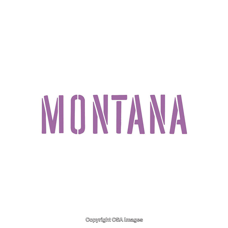 Bold Purple Text Illustration of the Word Montana on White Background