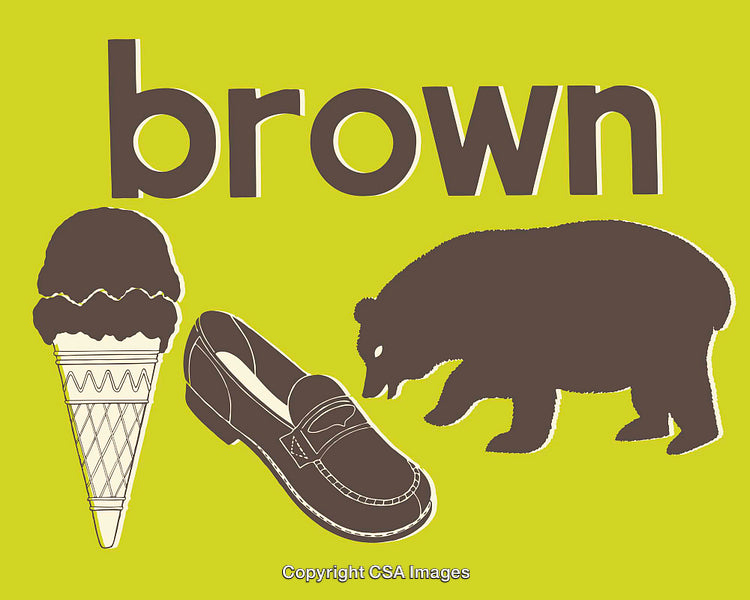 Brown Color Concept with Bear, Ice Cream, and Shoe Illustrations