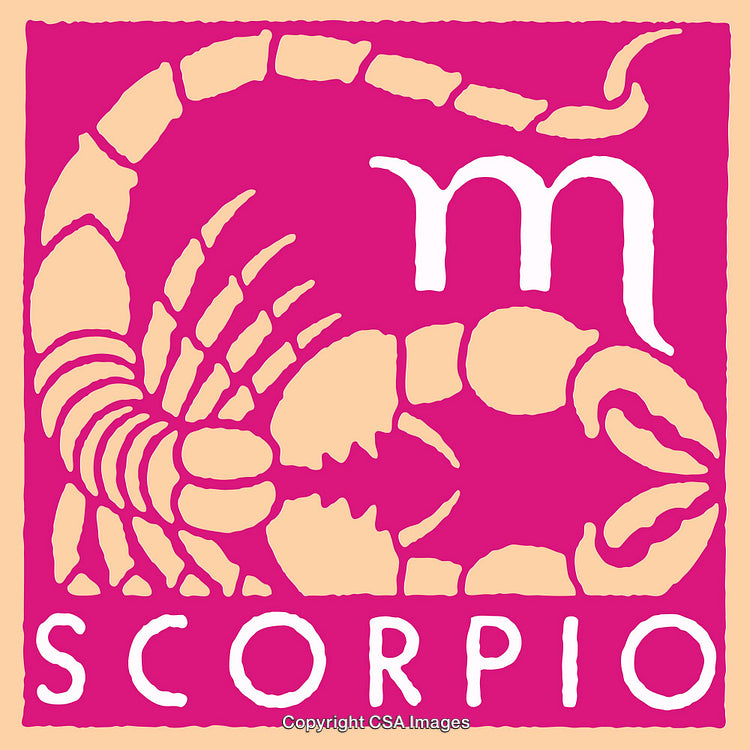 Scorpio Zodiac Sign Illustration with Scorpian Icon and Stylish Symbolism