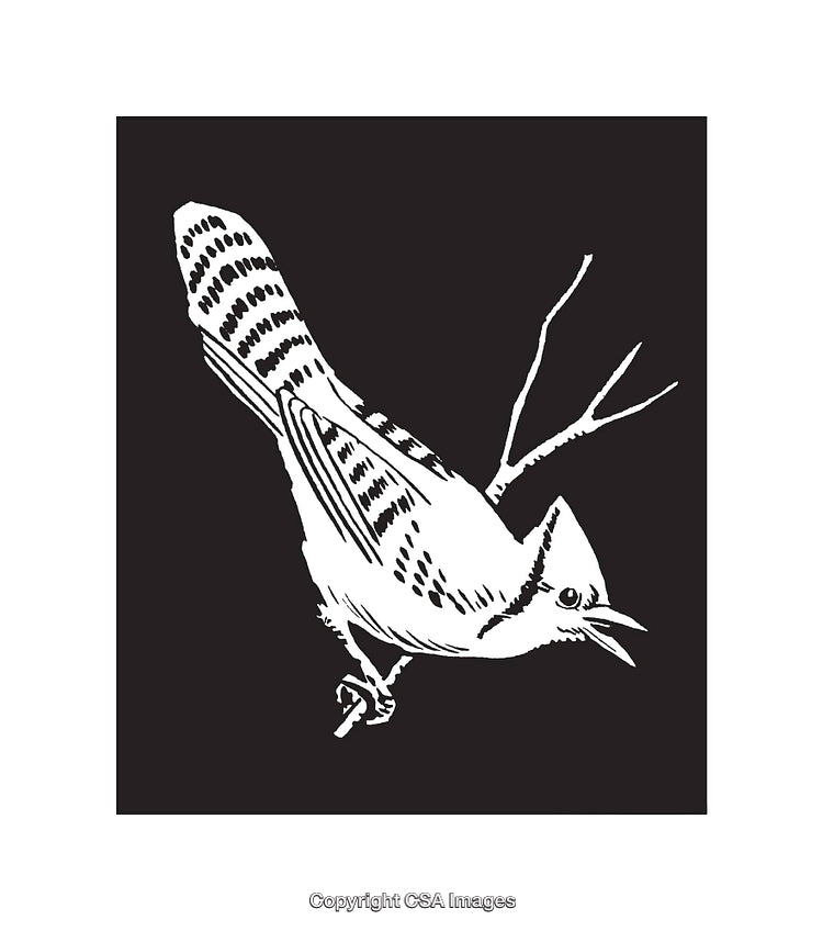 Detailed Black and White Line Art of a Bird Sitting on a Branch