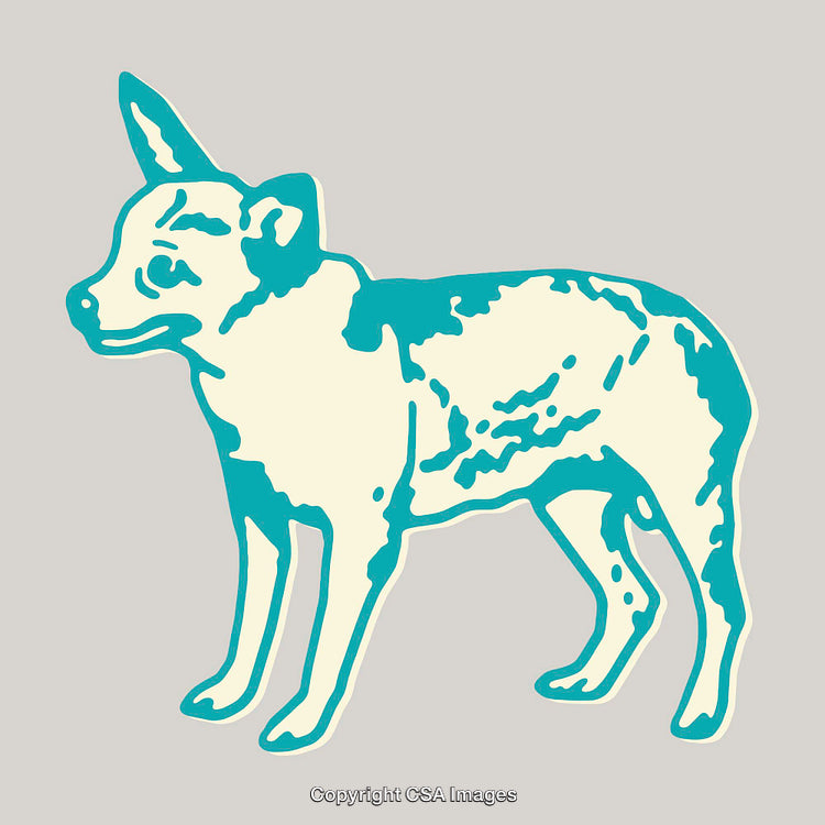 Color Line Art Illustration of a Stylized Canine in Minimalist Design