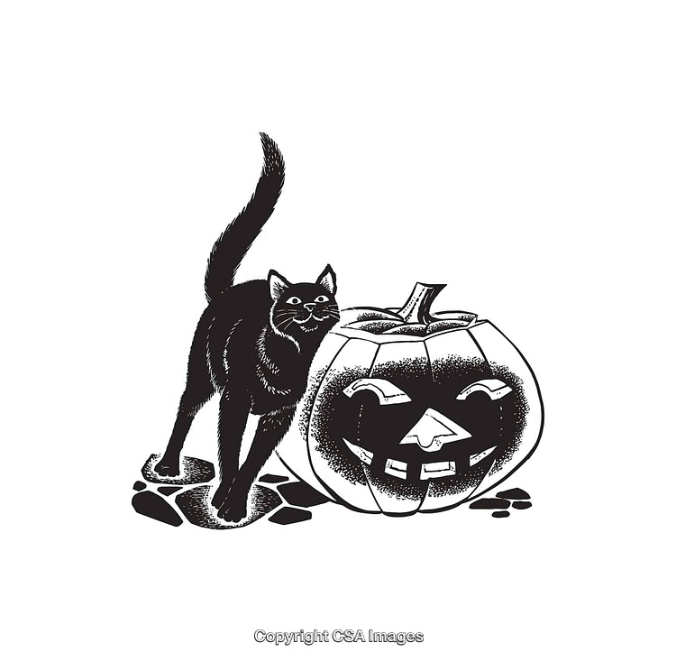 Black-and-White Illustration of a Cat and Halloween Pumpkin