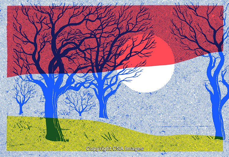 Abstract Tree Landscape with Bold Colors and Circular Sun at Dawn
