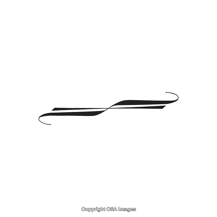 Elegant Black and White Decorative Ornament With Sophisticated Design