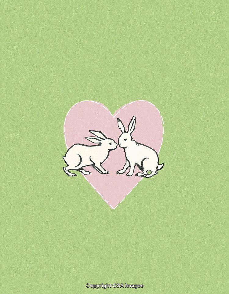 Two Rabbits Facing Each Other Inside a Pink Heart on Green Background