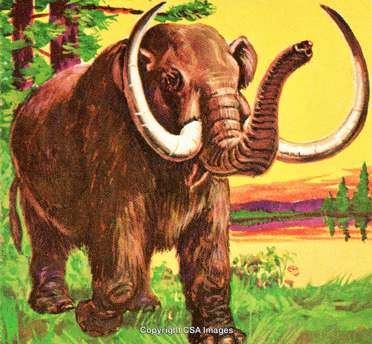 Colorful Illustration of a Majestic Woolly Mammoth in a Natural Landscape