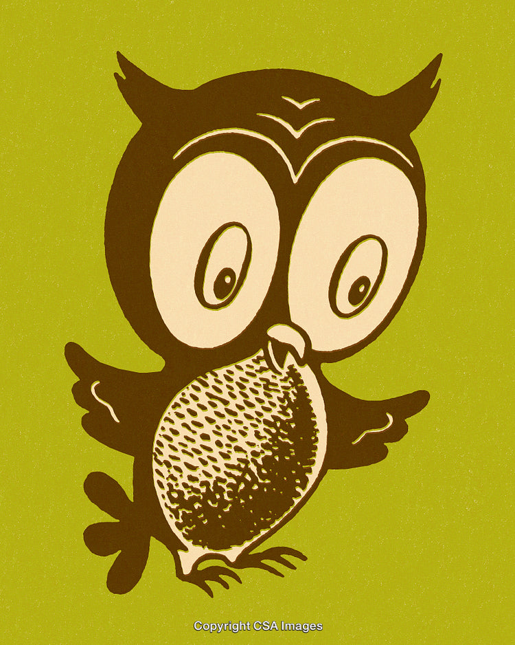 Charming Illustrated Owl on a Bright Green Background