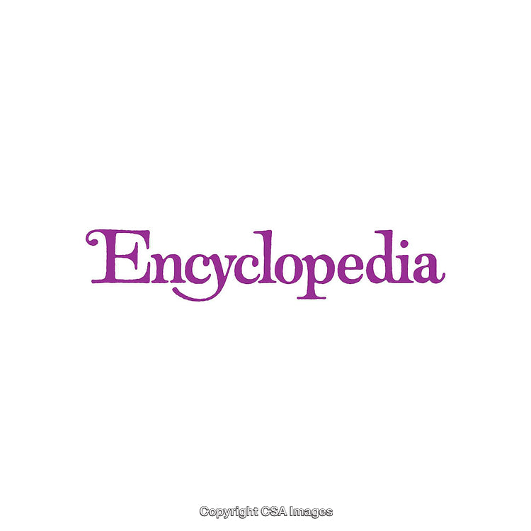 Purple Encyclopedia Word Text on Clean White Background
