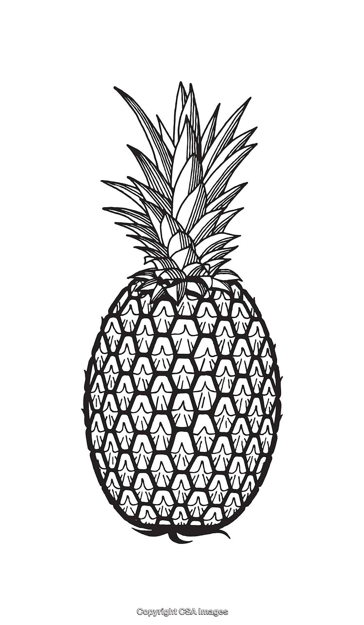 Black and White Line Art of a Pineapple Illustration