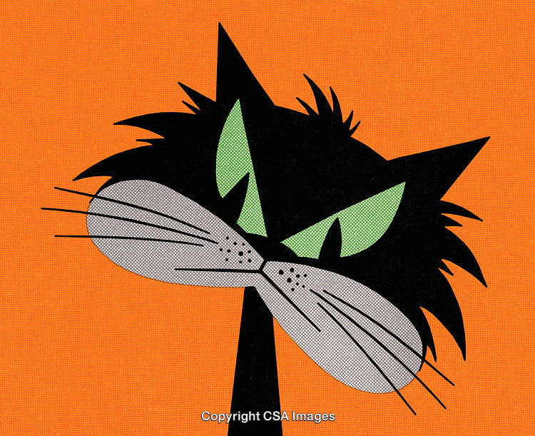 Stylized Black Cat Illustration on Vibrant Orange Background