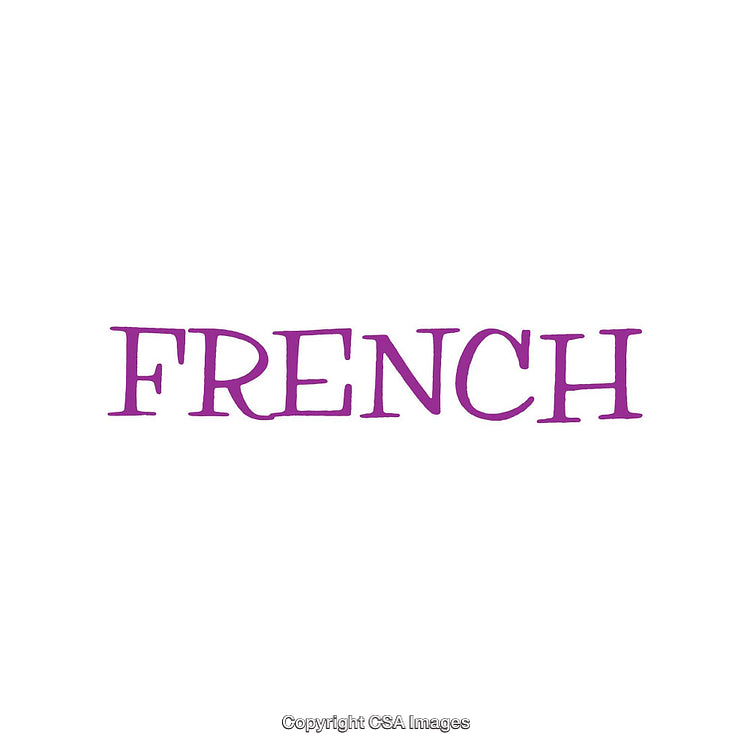 Purple Text "French" in Creative Font on White Background
