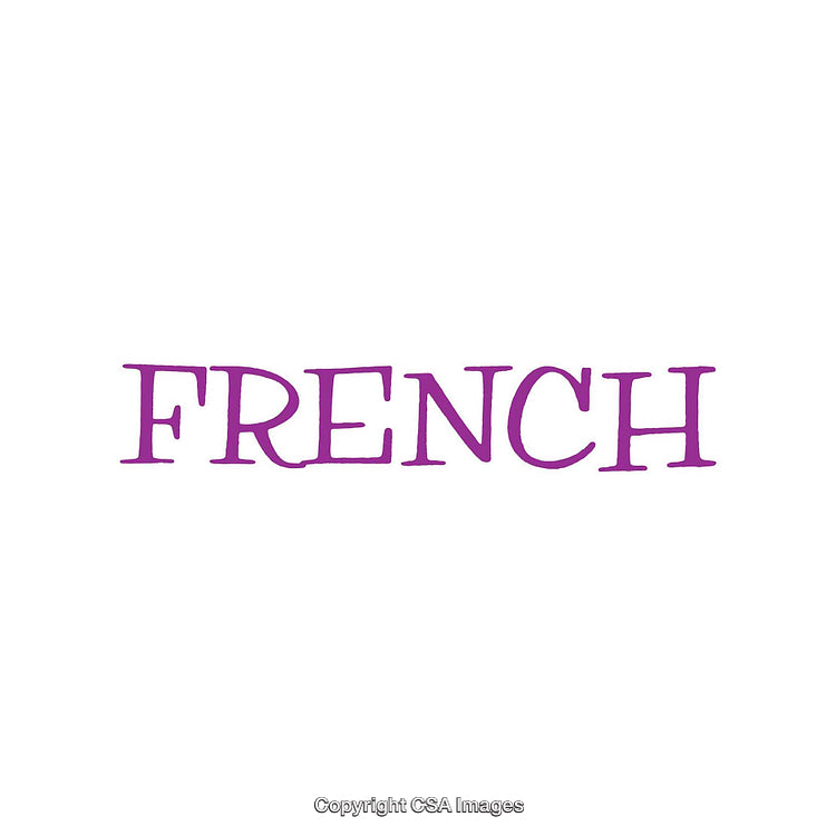 Purple Text "French" in Creative Font on White Background