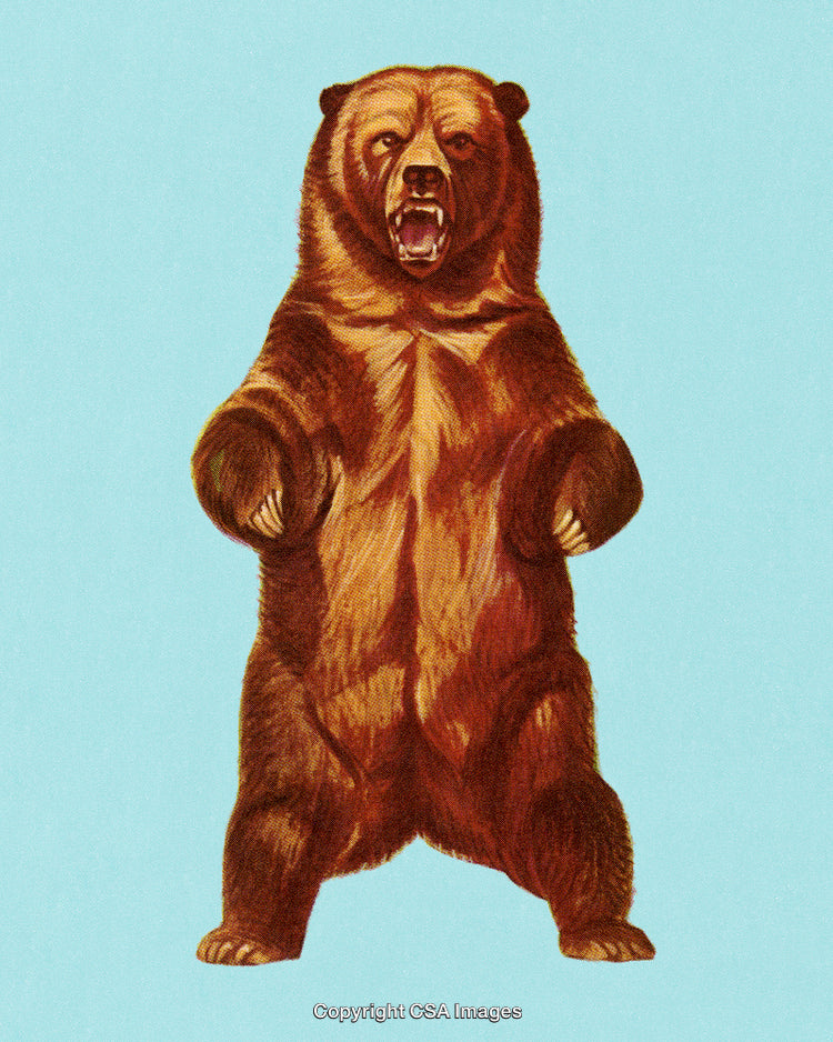 Illustration of a Standing Bear on a Light Blue Background