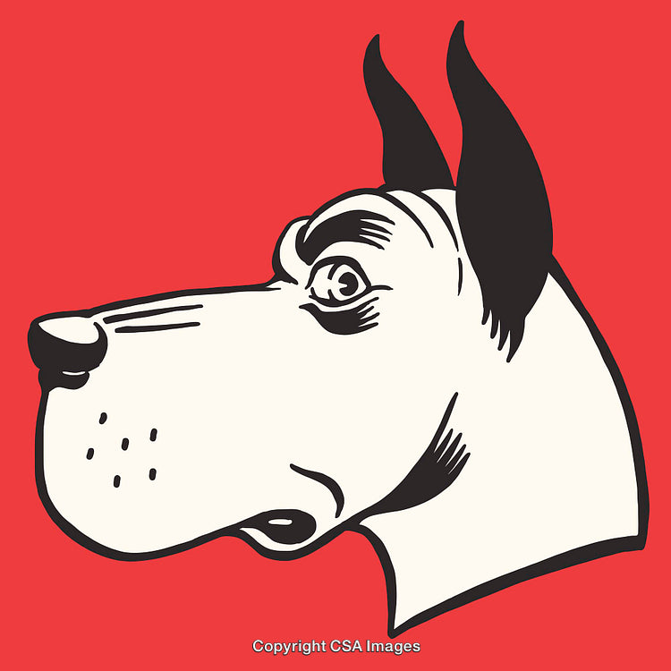 Graphic Line Art Illustration of a Dog Head on a Red Background