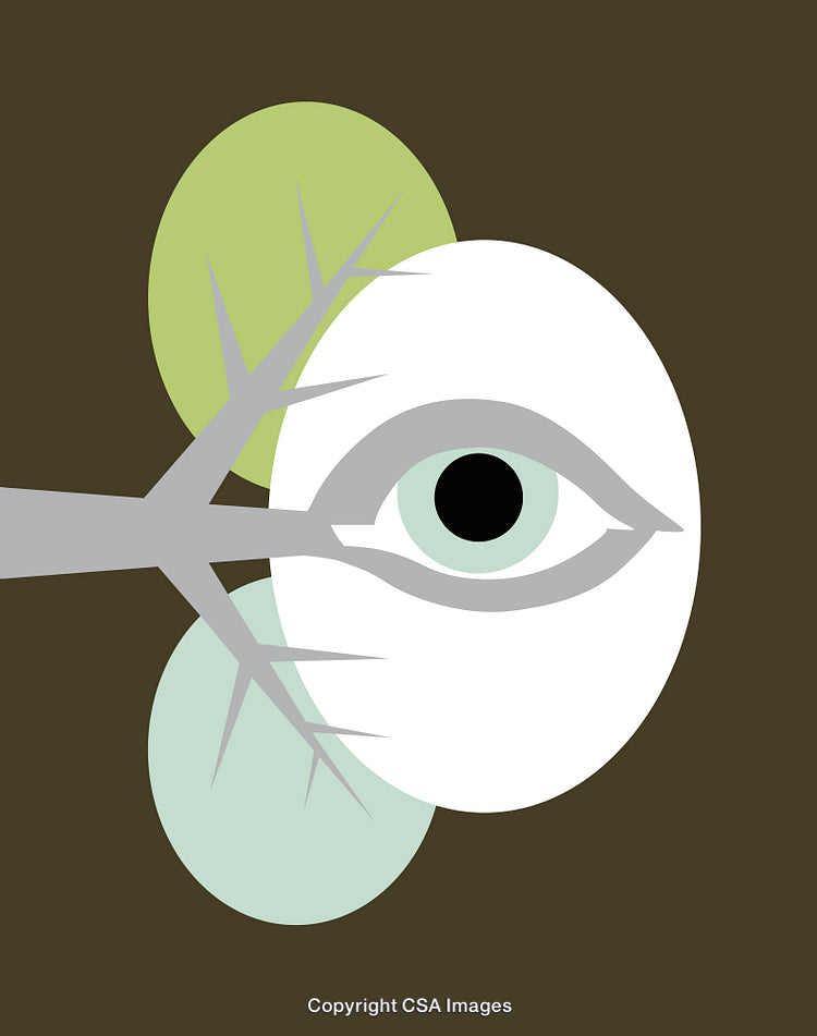 Abstract Art with Eye and Branch Designed in Bold Geometry