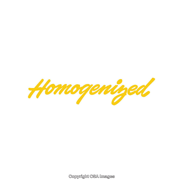 Yellow Script Text Displaying the Word Homogenized on White Background