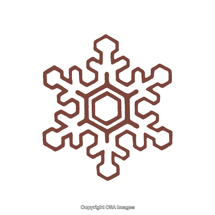Stylized Brown Snowflake Symbol with Geometric Design on White Background