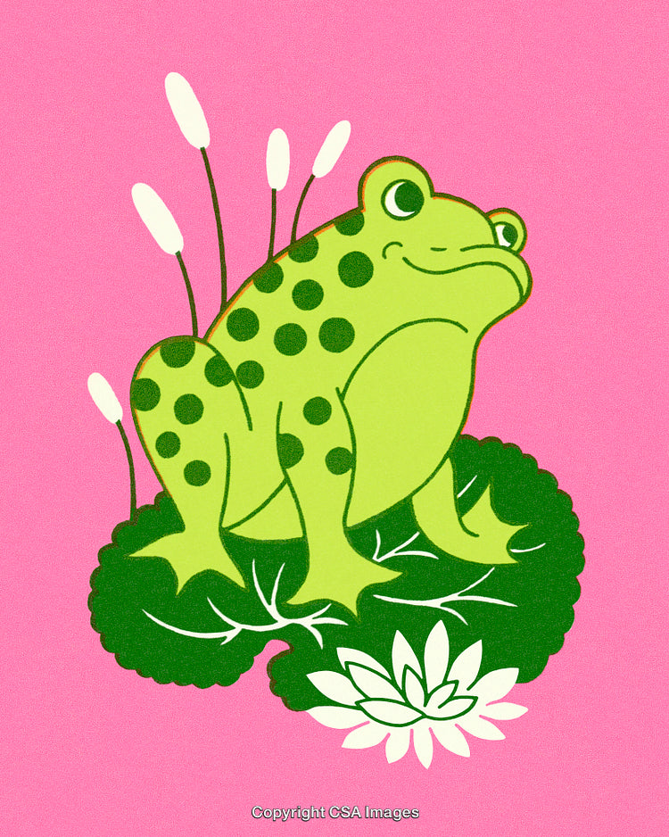 Colorful Illustration of a Frog Sitting on a Lily Pad in a Pond
