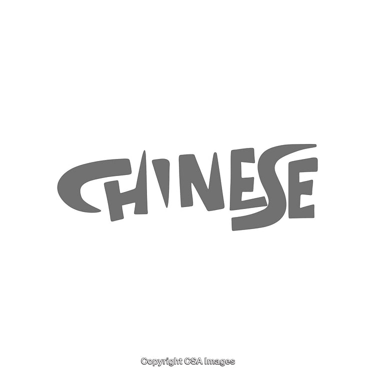 Stylized Chinese Text Design in Gray on White Background
