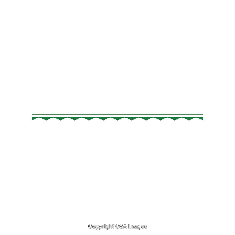 Thin Green Decorative Border Design with Zigzag Pattern on White Background