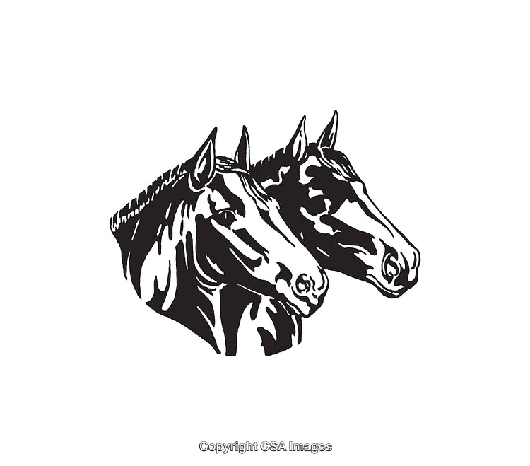 Black and White Line Art of Two Horse Heads in Elegant Style
