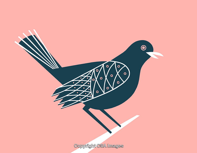 Stylized Illustration of a Bird Design in Bold Contrasting Colors