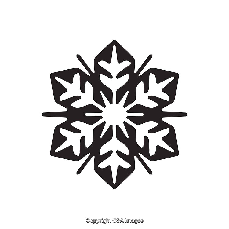 Geometric Black and White Snowflake Icon with Symmetrical Patterns
