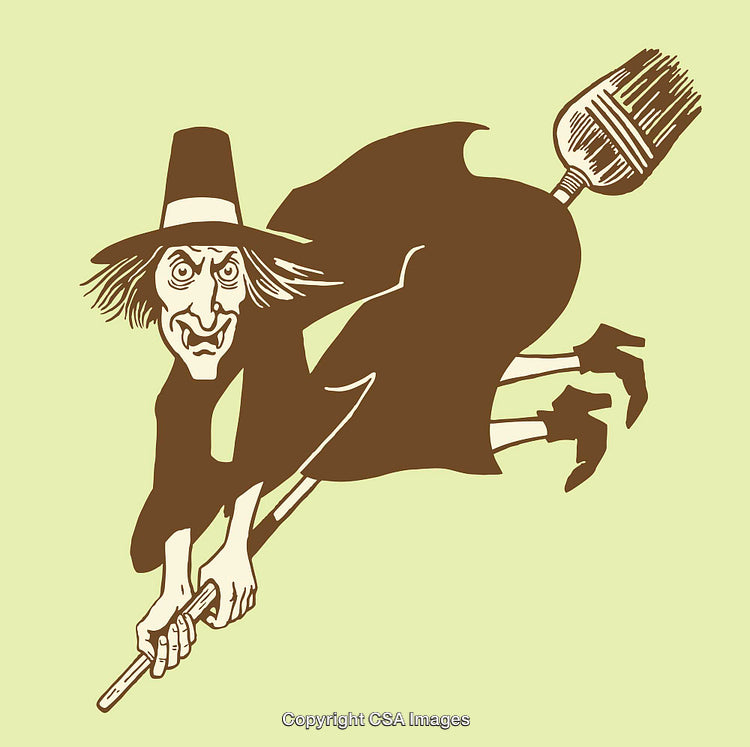 Whimsical Illustration of Wicked Witch Flying on a Broomstick