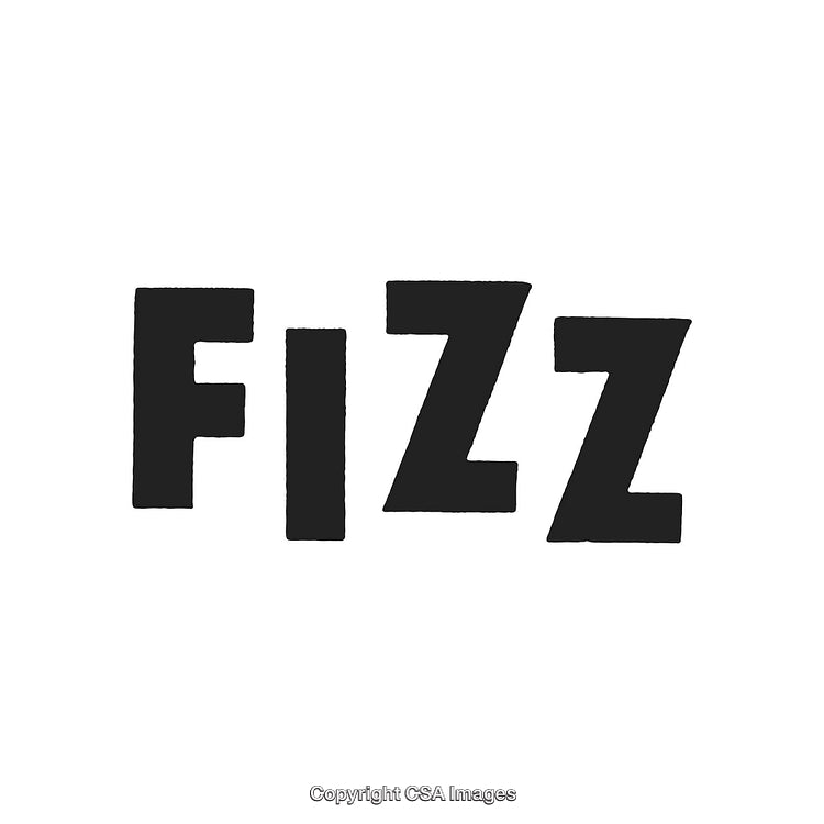Bold Black Typographic Design Featuring the Word 'Fizz' on a White Background