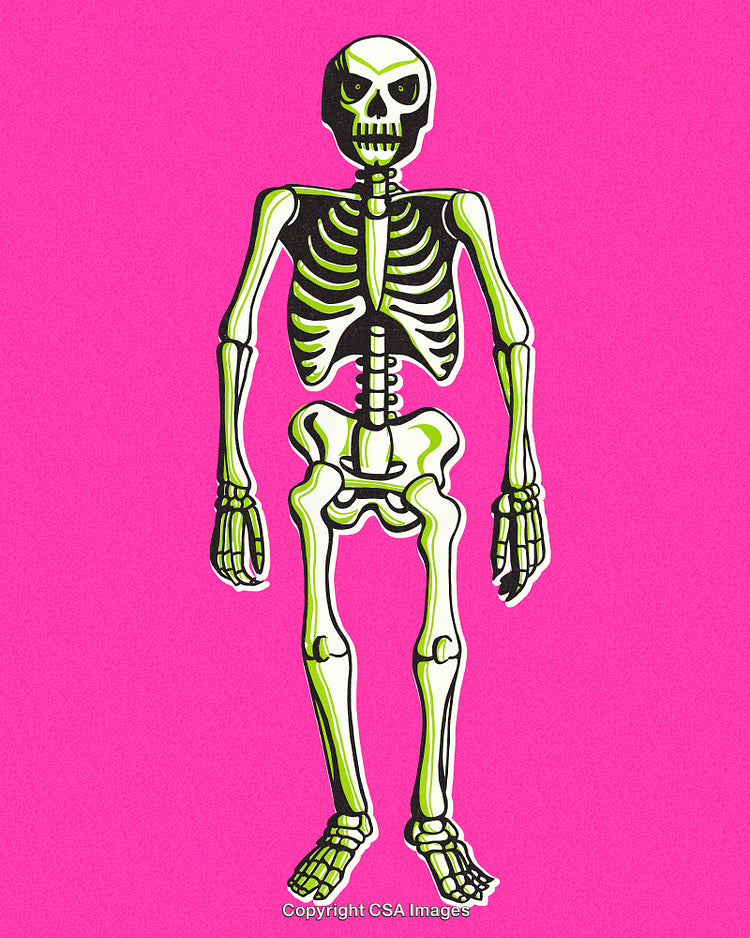 Colorful Skeleton Illustration on a Vibrant Pink Background