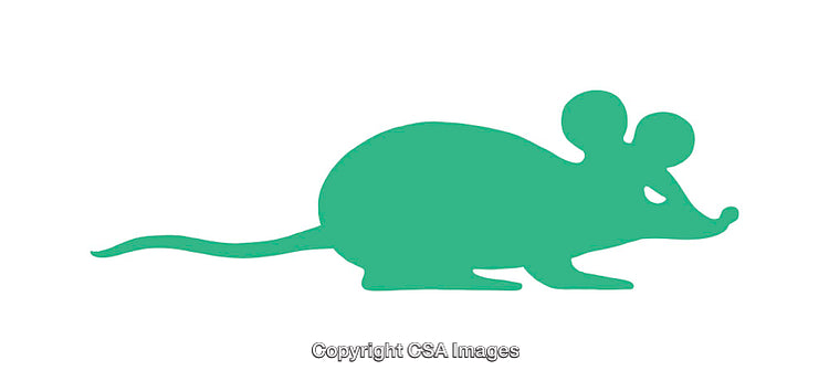 Green Mouse Silhouette Icon on White Background