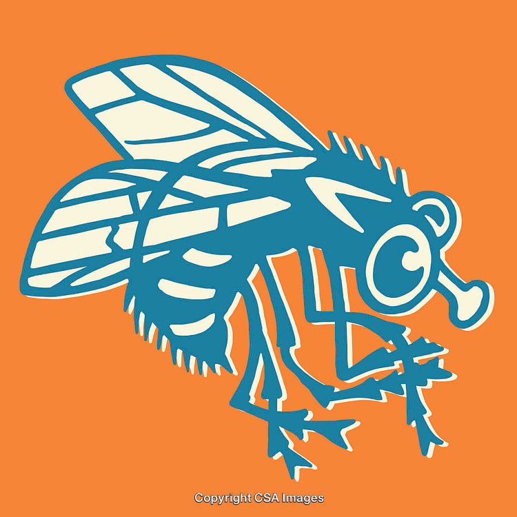 Illustration of a Stylized Fly in Blue on Orange Background