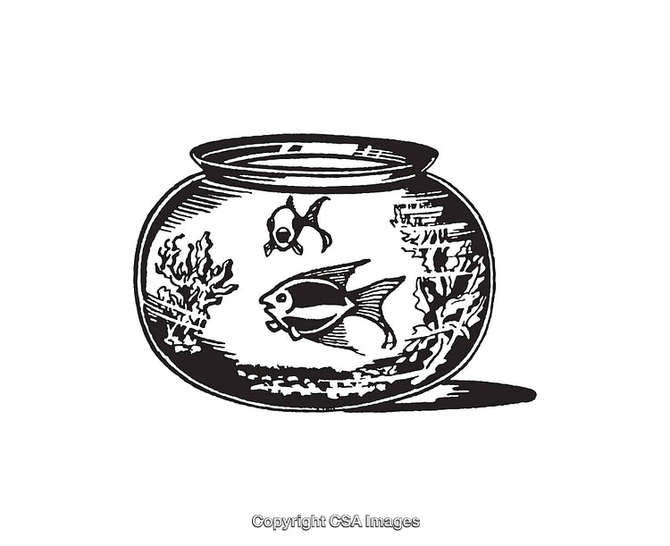 Black And White Line Art Illustration of Fish Bowl With Coral