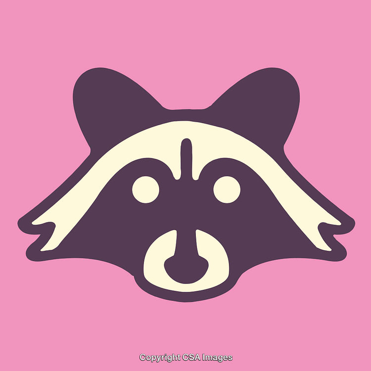 Minimalistic Illustration of a Raccoon Face on a Pink Background